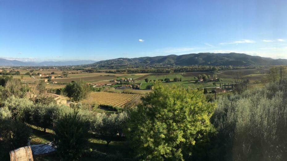 Agriturismo Wine Casale Villa Chiara Torgiano Exteriér fotografie