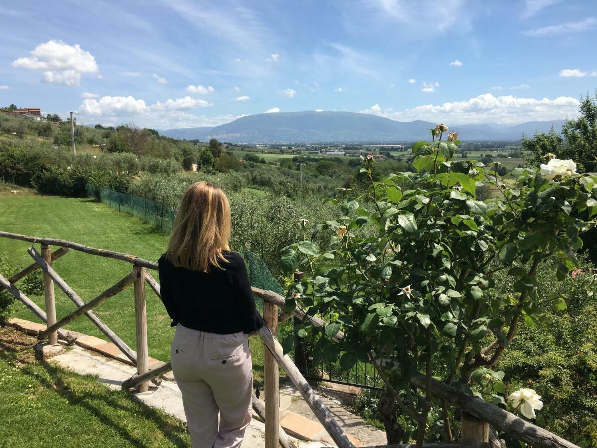 Agriturismo Wine Casale Villa Chiara Torgiano Exteriér fotografie